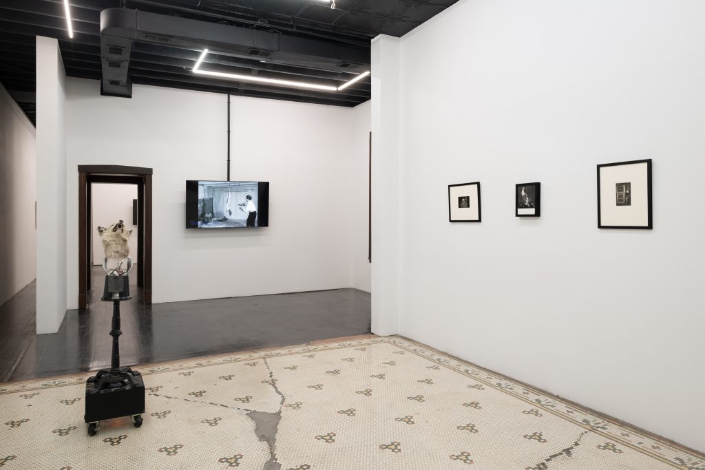 A modern art gallery with white walls, two framed photos, a small sculpture on a stand, patterned tile floor, and a TV screen displaying a black-and-white image in the background.