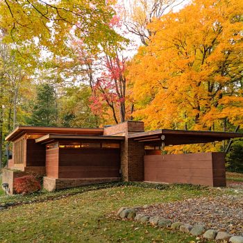 A modern house with flat roofs and brick walls stands amid vibrant autumn trees with yellow, orange, and red leaves. The driveway is lined with stones, and the lawn gently slopes downward.